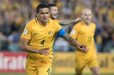 Tim Cahill Poster 3356718