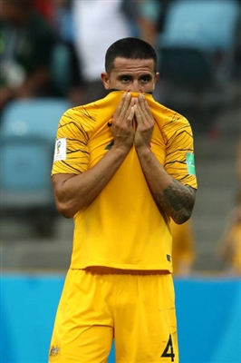 Tim Cahill Poster 3356719