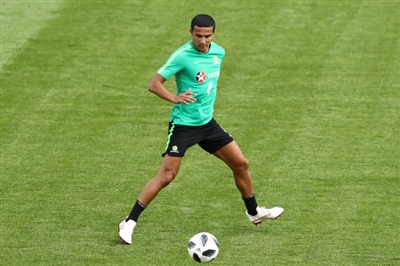 Tim Cahill Poster 3356721