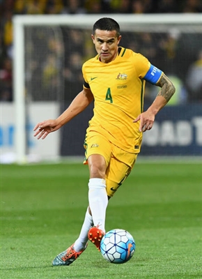 Tim Cahill Poster 3356724
