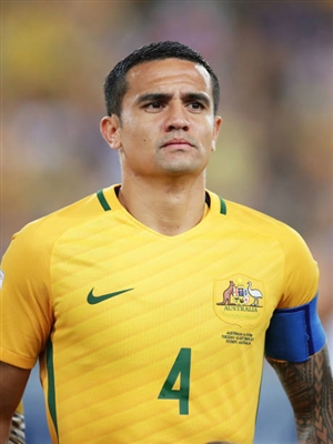 Tim Cahill Poster 3356725