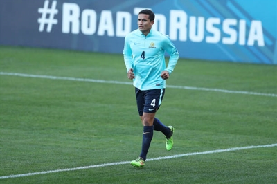 Tim Cahill Poster 3356727