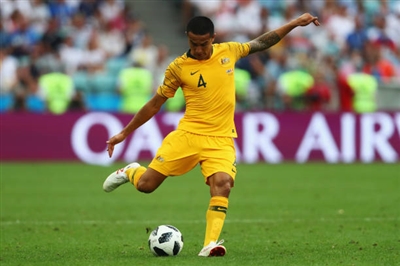 Tim Cahill Poster 3356735