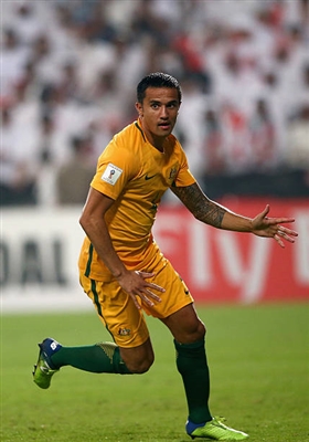 Tim Cahill Poster 3356749