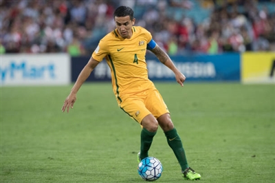 Tim Cahill Poster 3356750