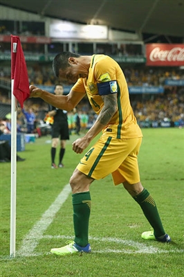 Tim Cahill Poster 3356757