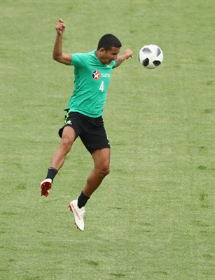 Tim Cahill Poster 3356758