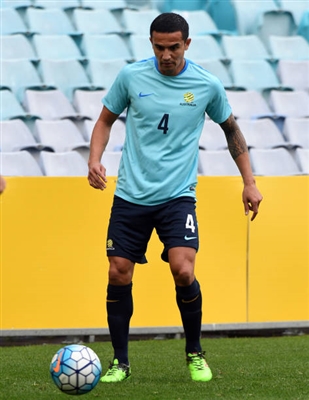 Tim Cahill Poster 3356763