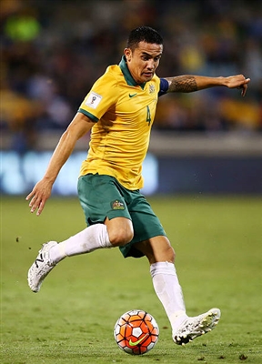 Tim Cahill Poster 3356765