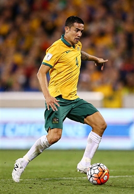 Tim Cahill Poster 3356766