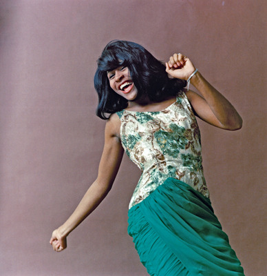 Tina Turner Poster 2545759