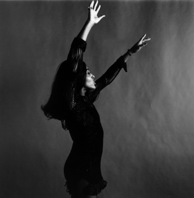 Tina Turner Poster 2545794