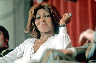 Tina Turner Poster 2545799