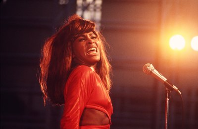 Tina Turner Poster 2545816