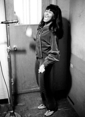 Tina Turner Poster 2545883