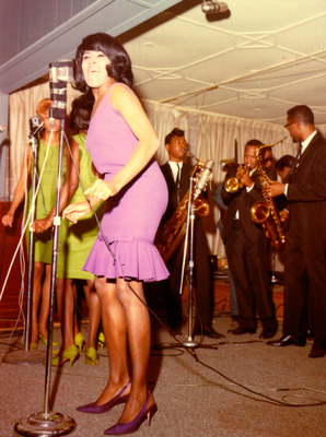 Tina Turner Poster 2662601