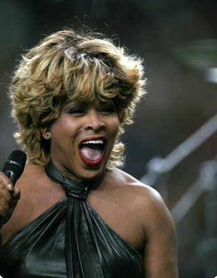 Tina Turner Poster 2662618