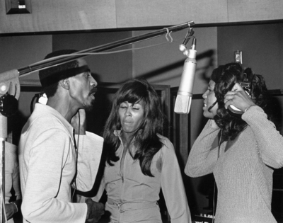 Tina Turner Poster 2662657