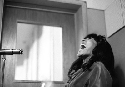 Tina Turner Poster 2662698