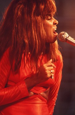 Tina Turner Poster 2662712