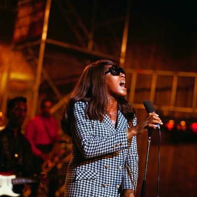 Tina Turner Poster 2662721