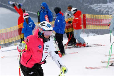 Tina Weirather Poster 3637204