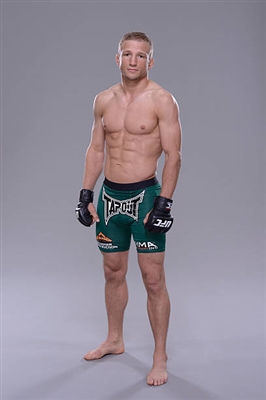 Tj Dillashaw Poster 3524914