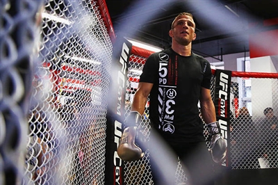 Tj Dillashaw Poster 3524921