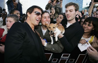 Tom Cruise Poster 1448242