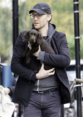 Tom Hiddleston Poster 2820322