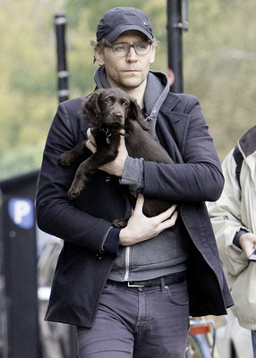 Tom Hiddleston Poster 2820323