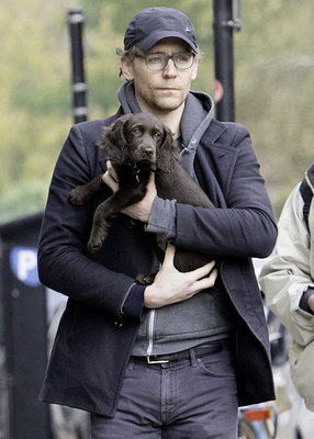 Tom Hiddleston Poster 2820324