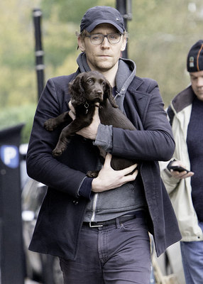 Tom Hiddleston Poster 2820325