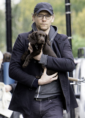 Tom Hiddleston Poster 2820327