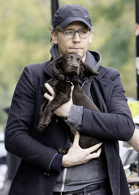 Tom Hiddleston Poster 2820328