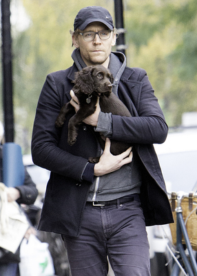Tom Hiddleston Poster 2820330
