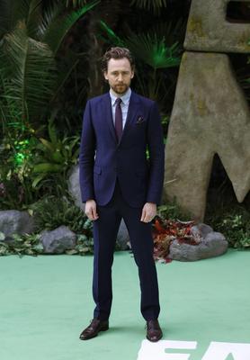 Tom Hiddleston Poster 2959248