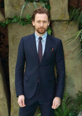Tom Hiddleston Poster 2959251