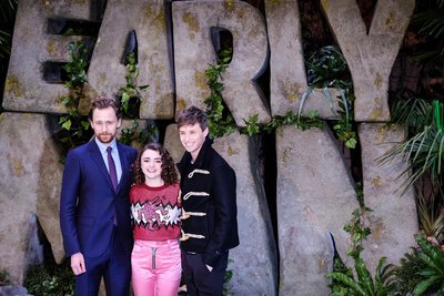 Tom Hiddleston Poster 2959260