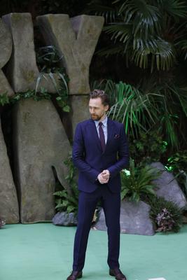 Tom Hiddleston Poster 2959261