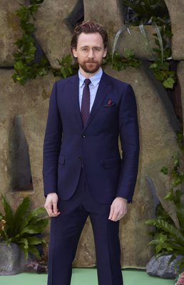 Tom Hiddleston Poster 2959264
