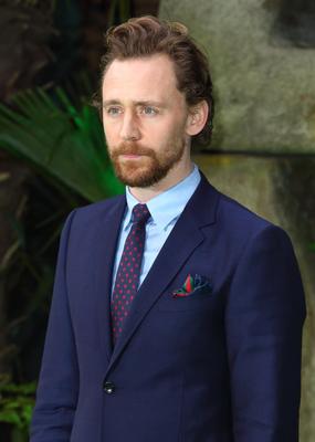 Tom Hiddleston Poster 2959319