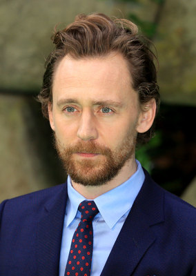 Tom Hiddleston Poster 2959365