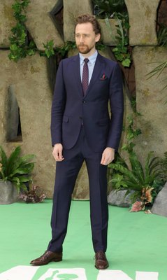Tom Hiddleston Poster 2959373