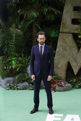 Tom Hiddleston Poster 2959377