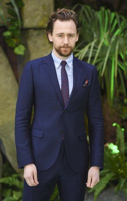 Tom Hiddleston Poster 2959394