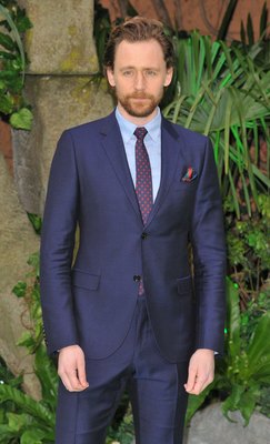 Tom Hiddleston Poster 2959397
