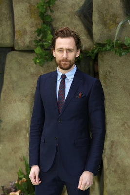 Tom Hiddleston Poster 2959405