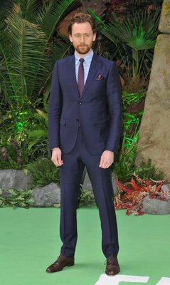 Tom Hiddleston Poster 2959406