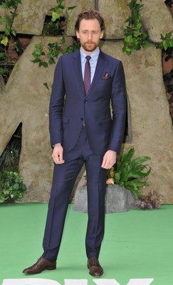 Tom Hiddleston Poster 2959407